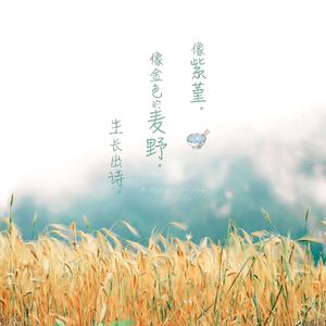 肌肉猛男巨大粗爽gv视频
